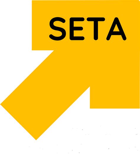 seta coaching training critical life skills parenting learning