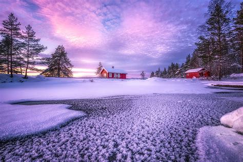 Ringerike Noruega campo de nieve blanco nieve nubes árboles