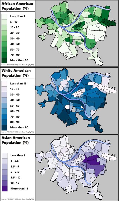 Population Distribution by Race in Pittsburgh : pittsburgh