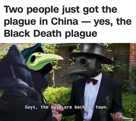 A Collection Of The Very Best Plague Memes