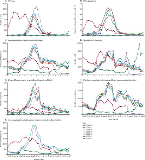 Epidemiology Of Respiratory Syncytial Virus In Children Younger Than 5