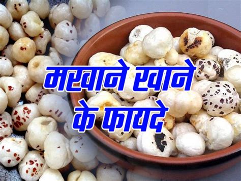 Makhana Khane Ke Fayde Who must eat Makhana Hindi News मखन खन स