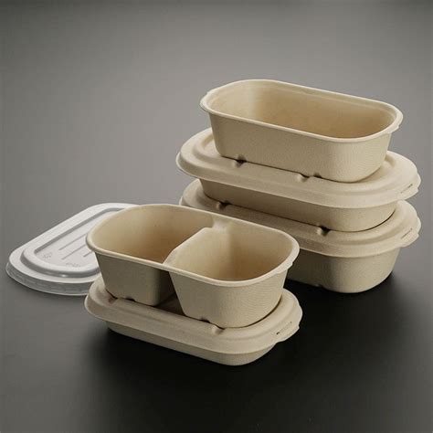 Disposable Lunch Boxes Disposable Food Containers Baked Honey Garlic