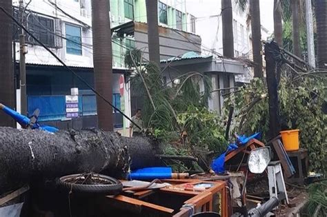 Hujan Deras Disertai Angin Kencang Di Jakut Pohon Tumbang Timpa