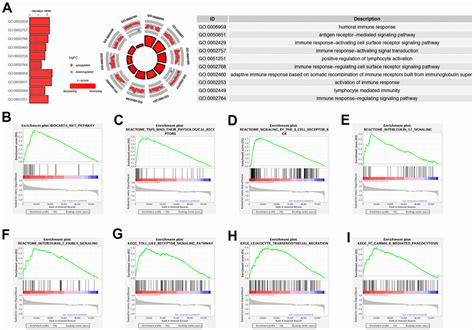 Identification And Validation Of Obesity Related Genes Signature Based