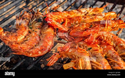 Grilled Shrimp Giant Freshwater Prawn Grilling With Charcoal Grilled