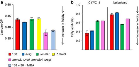 Membrane Fluidity Increases In The Absence Of Mreb A Overall