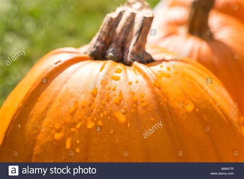 Vermont Farm Organic Hi Res Stock Photography And Images Alamy