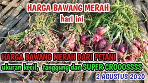 Harga Bawang Merah Super Hari Ini Dari Petani Cek Info Harga Bawang