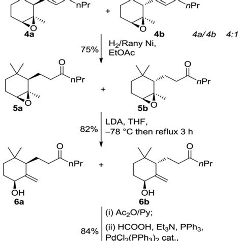 Synthesis of enantio enriched 10 ethyl 7 8 dihydro γ ionone isomer