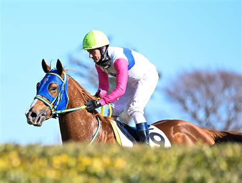 新馬戦回顧 メイクデビューの勝者達 2022年12月25日日 ウマフリ 競馬コラム＆ニュース