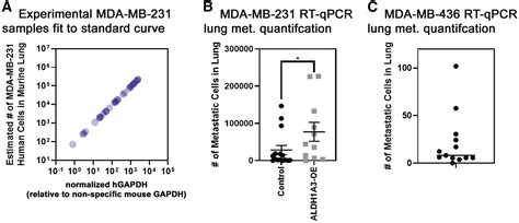 Human Specific Gapdh Qrt Pcr Is An Accurate And Sensitive Method Of