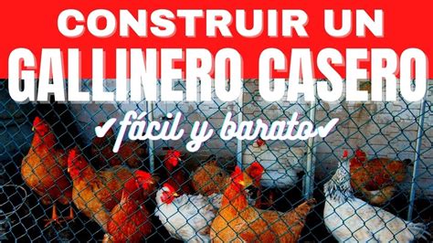 Como Hacer Un Corral Para Gallinas Casero F Cil Y Barato Te