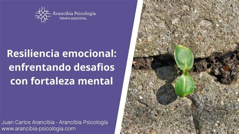 Afrontando Desafíos En La Salud Mental Estrategias Y Soluciones Amantes Del Hierro