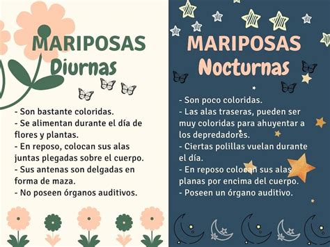 Clasificaci N De Las Mariposas Descubre Cu Ntos Tipos Hay