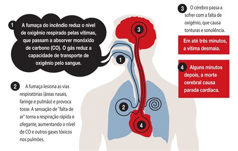 Portal Trabalho Seguro Médico explica como inalação de fumaça afeta saúde