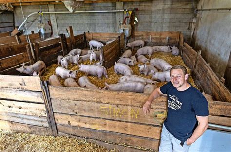 Nach Tierschutz Skandal Schlachthaus Video Schockiert Metzger