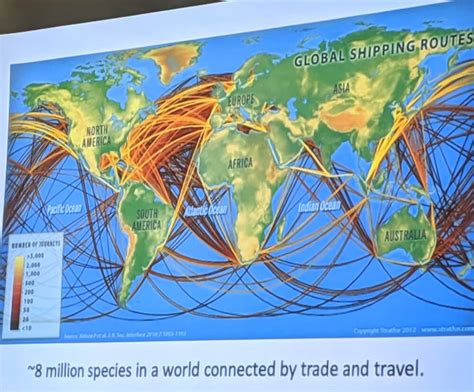 Global Shipping Routes Clean Lakes Alliance