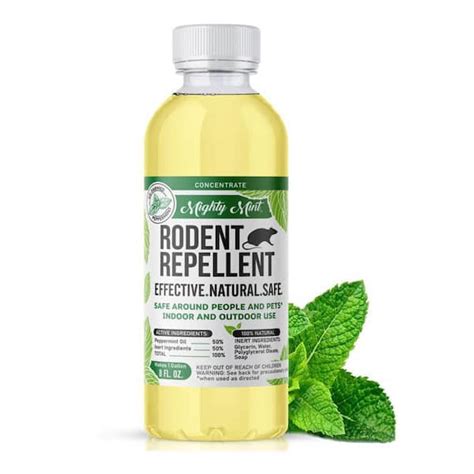 Buy 8 Oz Peppermint Rodent Repellent Concentrate Makes 1 Gal Natural Spray For Rats Mice And