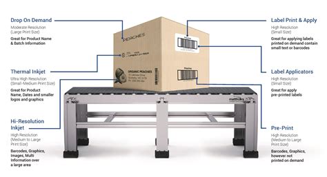 Carton Coding And Labelling Carton Label Printer Matthews