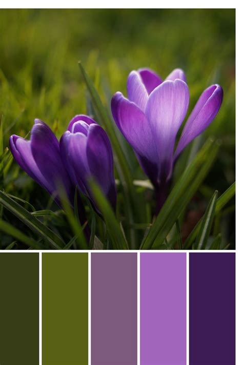 Green Pallete Brown Color Palette Purple Color Palettes Color