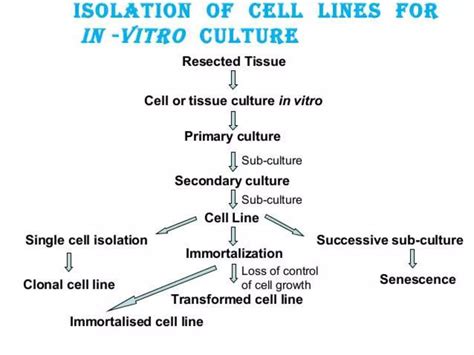 Cell culture techniques | PPT