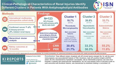 Antiphospholipid Syndrome Exploring Patterns Of Renal Injury