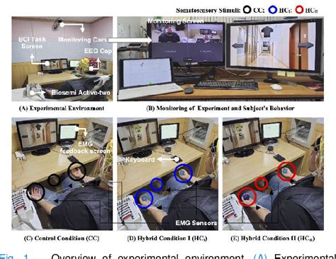 Figure From Improving Performance Of Motor Imagery Based Brain