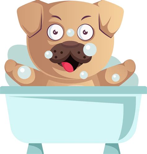 Pug bañándose ilustración vector sobre fondo blanco 12267695 Vector