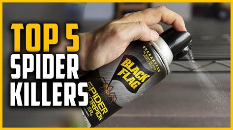 Best Spider Killers 2023 Top 5 Spider Killers Review Youtube