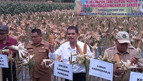 Kementan Ri Kembangkan Penggunaan Biosaka Di Bantul Times Indonesia