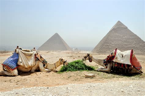 591+ Best Free Egypt Stock Photos & Images100% Royalty-Free HD Downloads