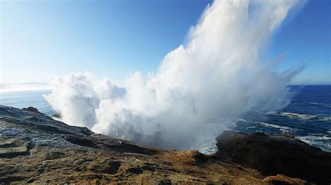 Coastal areas react to king tides with help from citizen scientists