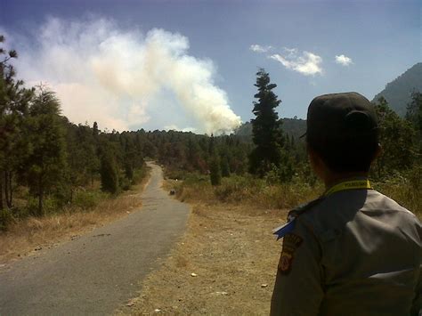 Luas Taman Wisata Kawah Gunung Papandayan Yang Terbakar Capai Hektar