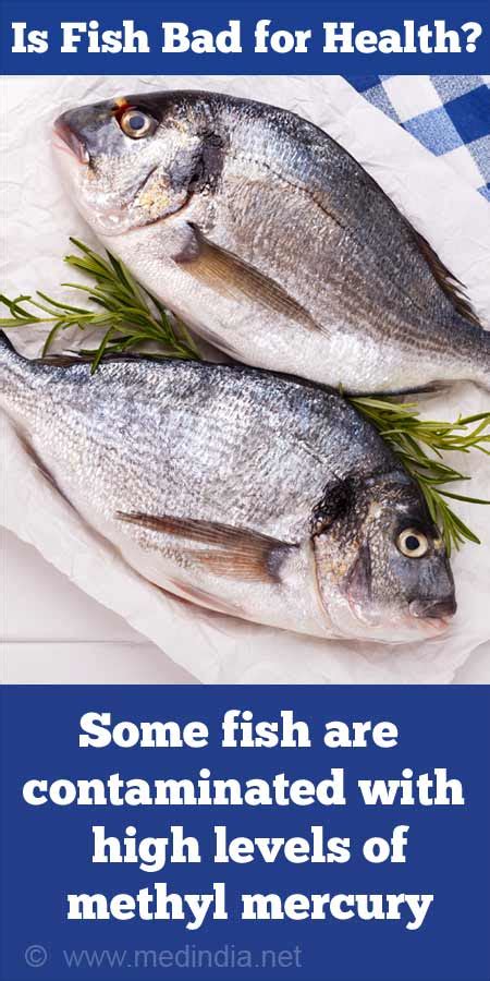 Which Fish Is Bad For Health Qaqooking Wiki