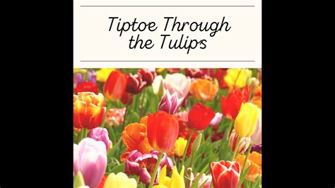 Limited Edition Yarn Club Recap Tiptoe Through The Tulips Youtube