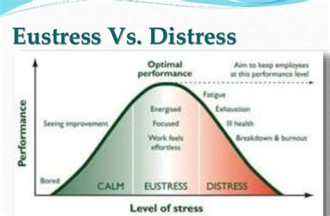 Eustress Vs Distress Explained And Their Differences How To Overcome