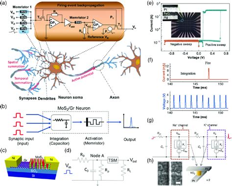 Neuron Implementation With Memristive Devices A The LIF Neuron