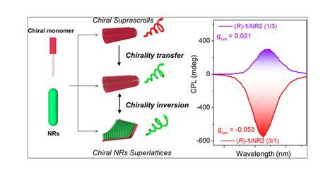 Active Regulation Of Supramolecular Chirality Through Integration Of