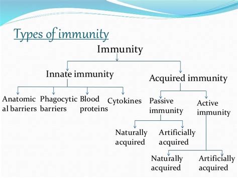 Types Of Immunity