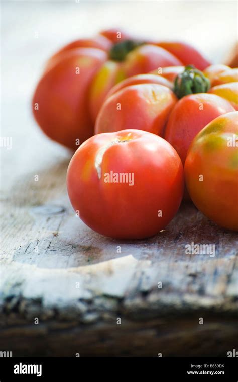 Bumpy Tomatoes Hi Res Stock Photography And Images Alamy