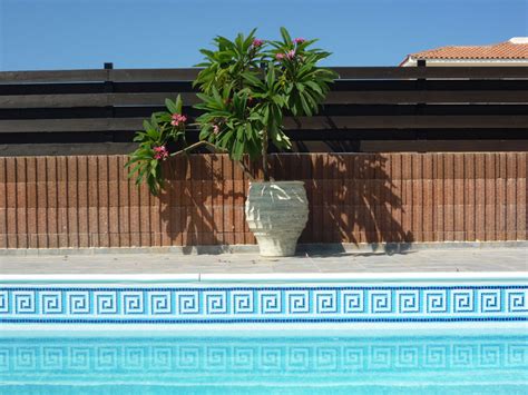 Swimming Pool Borders Diy Self Adhesive For Stained Water Line