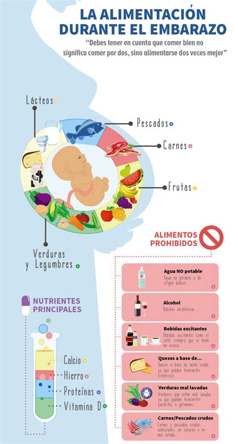 Alimentación Adecuada Para Embarazadas ⇒ 【guía】 ️