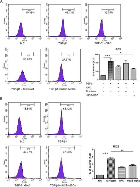 Repeated Intramuscular Transplantations Of HUCB MSCs Improves Motor