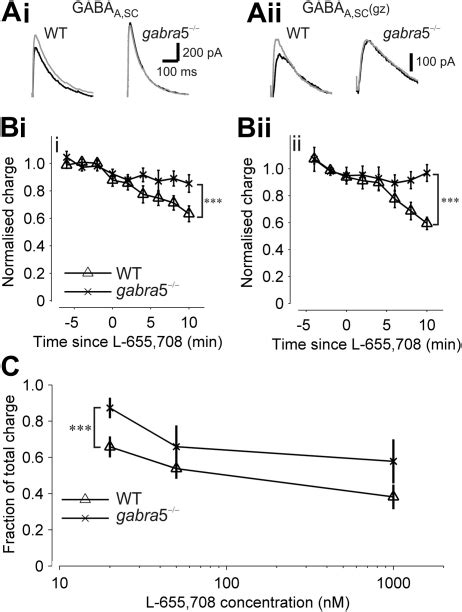 L 655 708 20 Nm Is Specific For The Gabaa Receptor α5 Subunit A