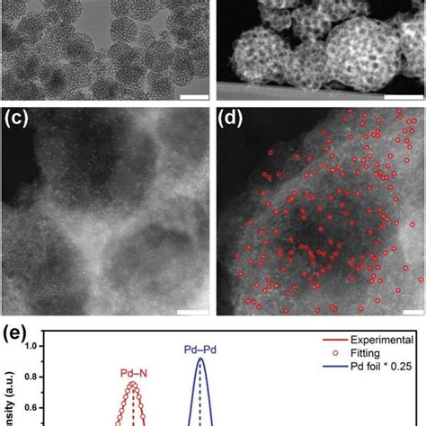 Morphological And Structural Characterizations Of Isapd Mpnc Sample