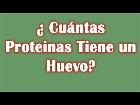 Cuantas Proteinas Tiene El Huevo Todo Sobre El Huevo Crudo De Gallina