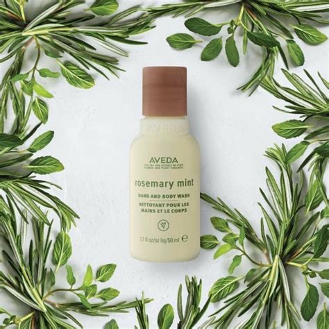 Aveda Rosemary Mint Body Lotion Ferahlatan Vücut Losyonu 200ml Kaizen