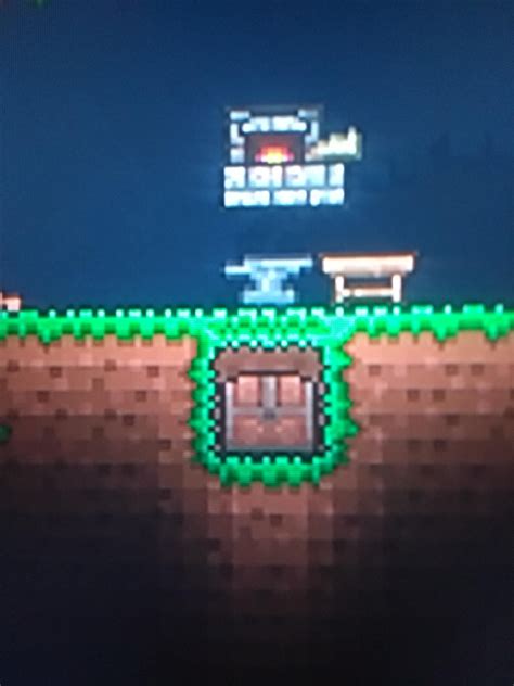 The most useful glitch ever : r/Terraria