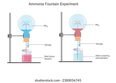 Ammonia Fountain Experiment Show Solubility Ammonia Stock Vector ...